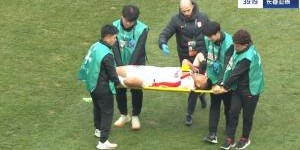 星空娱乐-亚泰连续2人伤退！李申圆直接返回更衣室，谭龙被担架抬下球场